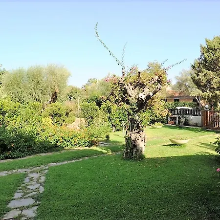 Pablo Villa Olbia